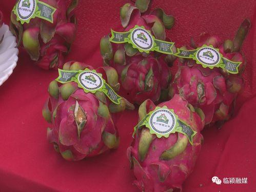 吃瓜戏曲,揭秘古代戏曲中的美食文化